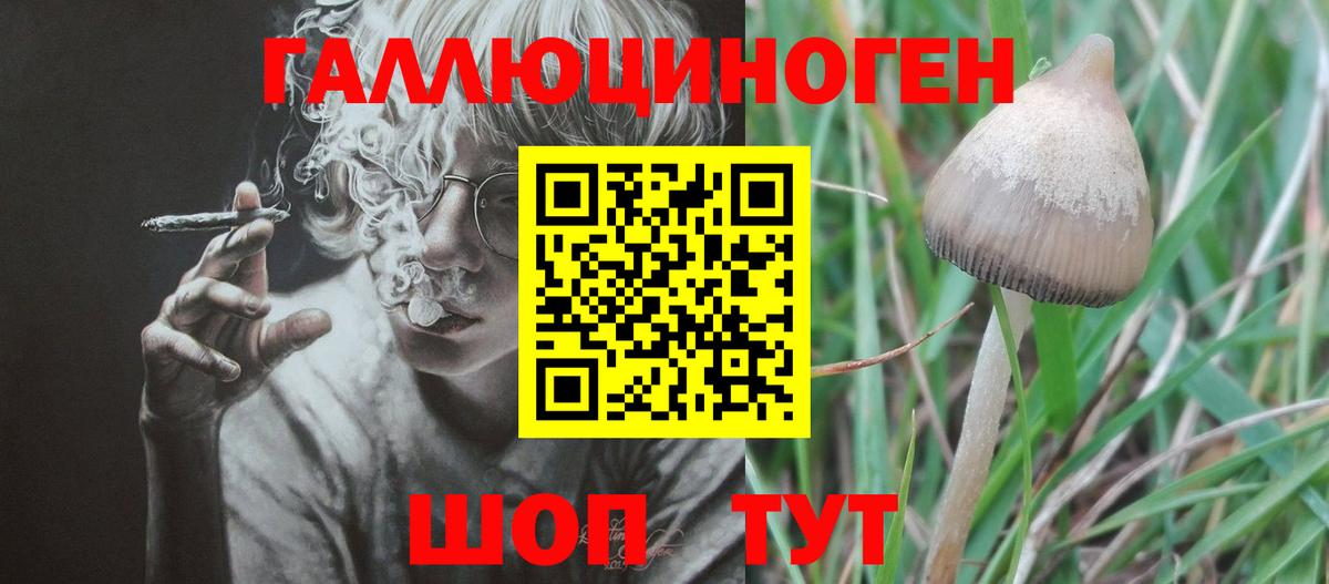 Псилоцибиновые грибы Magic Shrooms  Вход с VPN  Конаково 